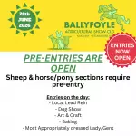 Copy of In Aid of CarlowKilkenny Homecare Team & local worthy charities (7)