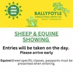 Copy of In Aid of CarlowKilkenny Homecare Team & local worthy charities (9)