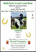 Screenshot_20250522_080801_Drive