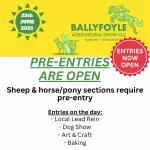 Copy of In Aid of CarlowKilkenny Homecare Team & local worthy charities (3)