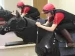 Race Simulator cropped 4/3