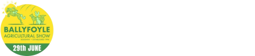 website logo